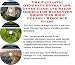 Book The Fantastic Generate Extra Cash, Inner Game and Sales Models for Badminton Shoes Web Biz 3 Course + Resource Guide