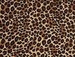 Leopard Spots Sarong