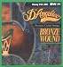 D'Angelico Acoustic Guitar 80/20 Bronze Wound 6 String Heavy, .014 - .060, BW-H