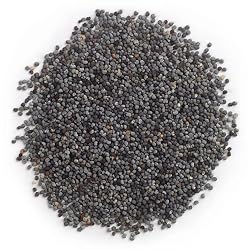 Frontier Poppy Seed Whole, 16-Ounce Bags (Pack of 2)