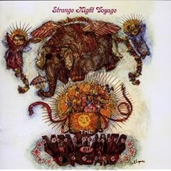 Strange Night Voyage