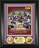 Minnesota Vikings Team Force 24KT Gold Coin Photo Mint