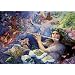 Schmidt Spiele 58850 - Josephine Wall, Zauber-Fl�te, 1000 Teile