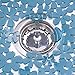 iDesign Blumz Kitchen Sink Protector Mat, Blue