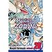 Knights of the Zodiac (Saint Seiya), Vol. 20