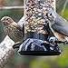 Droll Yankees Onyx Clever Clean and Fill Mixed Seed Bird Feeder, 18 Inches, 4 Ports, Black