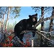 Lazy Afternoon 300pc Jigsaw Puzzle by Terry Doughty
