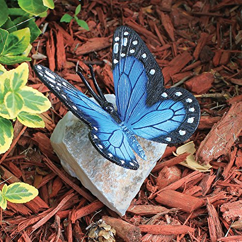 Design ToscanoMP7482 Papilio Ulysses Butterfly on Rock Statue, Full Color