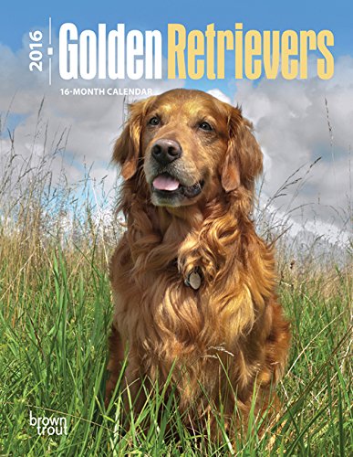 Golden Retrievers 2016 Engagement