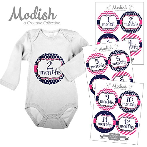 12 Monthly Baby Stickers, Pink & Navy Blue, Girl, Baby Belly Stickers, Monthly Onesie Stickers, First Year Stickers Months 1-12, Pink & Navy Blue, Nautical, Baby Girl