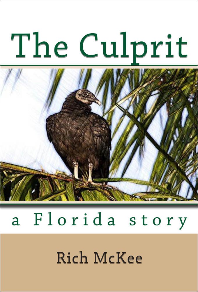 The Culprit: a Florida story, Rich McKee - Amazon.com
