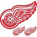 Detroit Red Wings Removable Logo - 24x24"