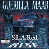 Rise S.L.a.B.ed
