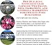 The Guerilla Marketing, Building Effective Lead Capture Web Pages, SIVA Marketing for...