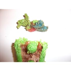 Hartz Chew N' Clean Assorted Colors Dental Duo Toy and Edible Dog Chew