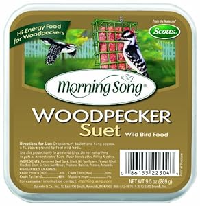 Amazon.com: Morning Song 1022304 Woodpecker Suet Wild Bird Food, 9-1/2