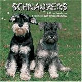 Schnauzers 2009 Wall Calendar