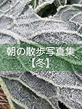 朝の散歩写真集【冬】