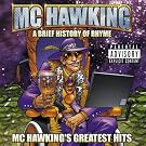 A Brief History Of Rhyme [Explicit]