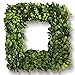 Porch & Petal Boxwood Square Wreath, 16