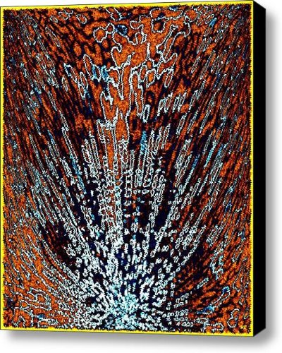 Desert Brambles Canvas Print / Canvas Art - Artist Will Borden
