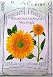Sunflowers Seeds Van Gogh 25 Seeds