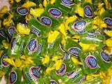 Apple Jolly Ranchers 13lb Bulk