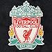 Liverpool Football Club Official Soccer Gift Mens Shower Jacket Windbreaker