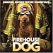 Firehouse Dog