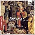 Puer Natus Est: Tudor Music For Advent and Christmas (Stile Antico)