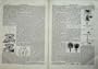1876 Engineering Block Signal Railway Traffic Diagrams