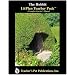 The Hobbit: A Unit Plan (Litplans on CD)