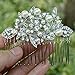 EVER FAITH® Austrian Crystal Cream Simulated Pearl Bridal Leaf Hair Comb Clear