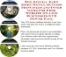 The Insider's How To Earn Extra Money, Marketing and Success Principles for Free Website Biz 3 CD Package
