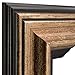 Craig Frames Sonora, Aged Copper and Black Picture Frame, 16 by 20-Inch