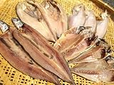 【訳あり・わけあり】国産干物おまかせ1.2ｋｇ以上！キズ物一夜干し（規格外 不揃い）梅塩仕立てのこだわり干し物