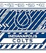 Turner NFL Indianapolis Colts Stretch Book Covers (8190178)