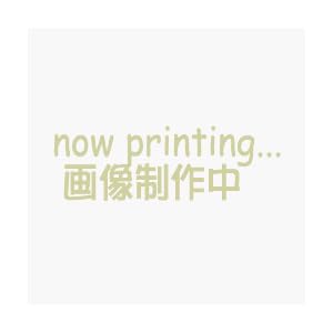 【クリックで詳細表示】仮縁 デュアルDX M150 黒/ステン