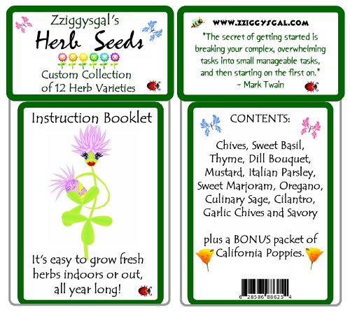 Assortment of 12 Culinary Herb Seeds - Grow Cooking Herbs- Parsley, Thyme, Cilantro, Basil, Dill, Oregano, Sage, More