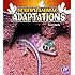 Desert Animal Adaptations (Amazing Animal Adaptations)