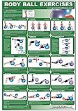 Body Ball Core Exercise Laminated Poster Chart - Total Core Workout - Personal Trainer Fitness Program for Women & Men Swiss Ball, Balance & ... Exercise Ball Improves Your Fitness - 24x36