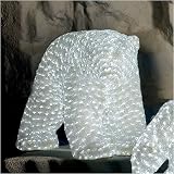Giant Commercial Acrylic LED Female Polar Bear Christmas Display 1550 LED Lights