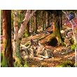 Ties that Bind 1000pc Jigsaw Puzzle by Bonnie Marris
