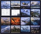 Flying Aces 2008 Wall Calendar