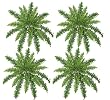 Four 24" Boston Fern Artificial Hanging Greenery Bushes