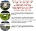 The Mega Generate Extra Cash, Inner Game and Biz Networking for Disposable Cameras Web Biz 3 Course + Resource Guide