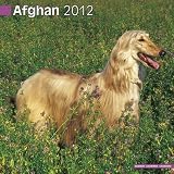 Kalender 2012 Afghane - Afghanischer Windhund