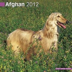 Kalender 2012 Afghane - Afghanischer Windhund