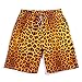 Coface Men's Leopard Board Shorts