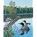 Dimensions PaintWorks/Paint By Number, Loons And Irises